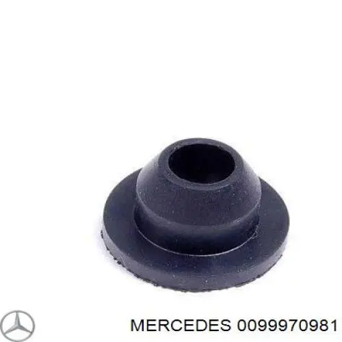  0099970981 Mercedes