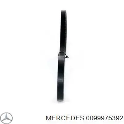 Клиновый ремень Mercedes A0059976792 цена, от 6.00 USD