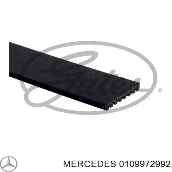 0109972992 Mercedes correia dos conjuntos de transmissão