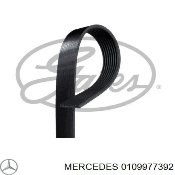 0109977392 Mercedes ремень генератора