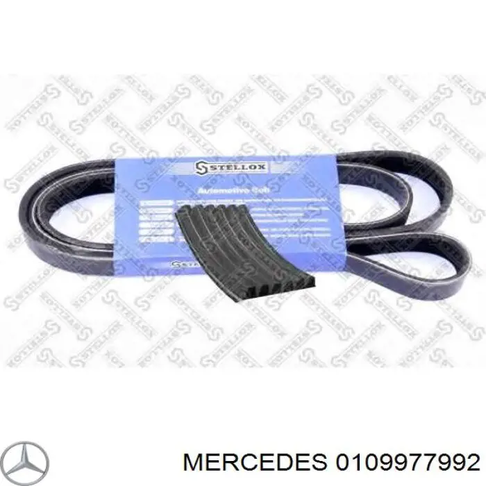 Клиновый ремень Mercedes 0109977992 цена, от 20.12 USD