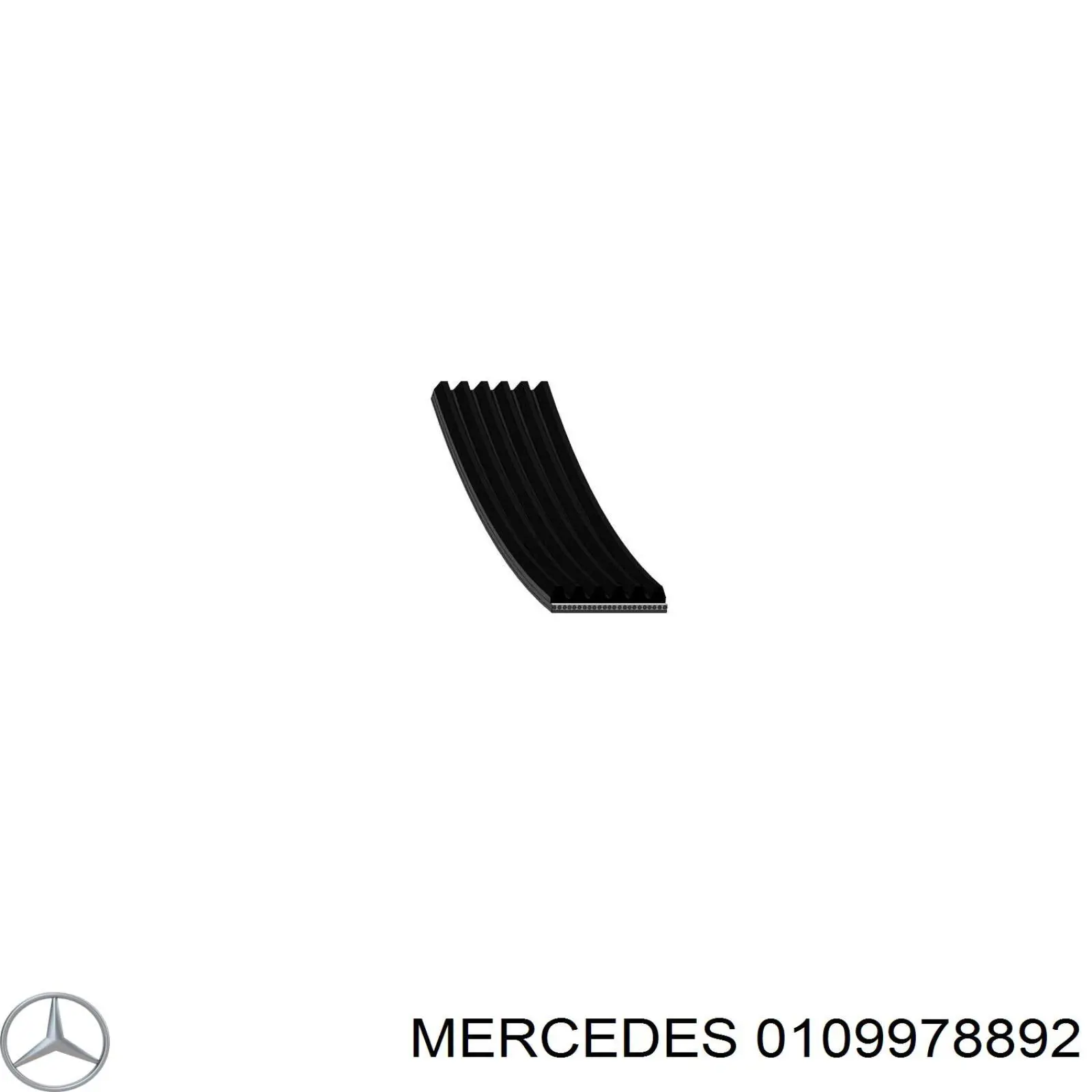 Клиновый ремень Mercedes 0109978892 цена, от 17.54 USD