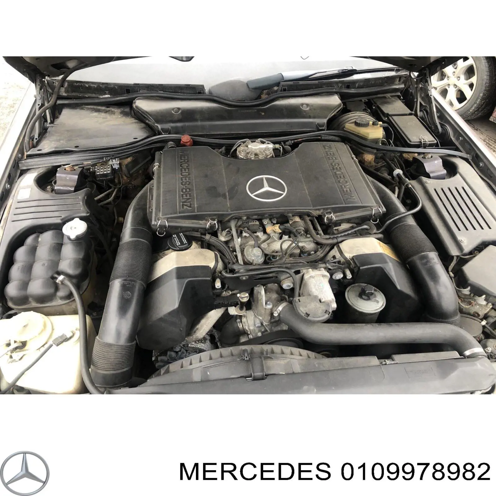 Купить 0109978982 Mercedes Шланг омывателя, универсальный