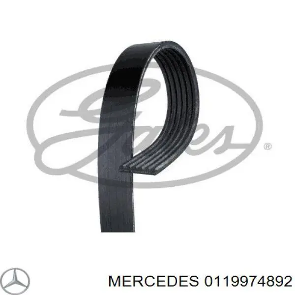 0119974892 Mercedes correia dos conjuntos de transmissão
