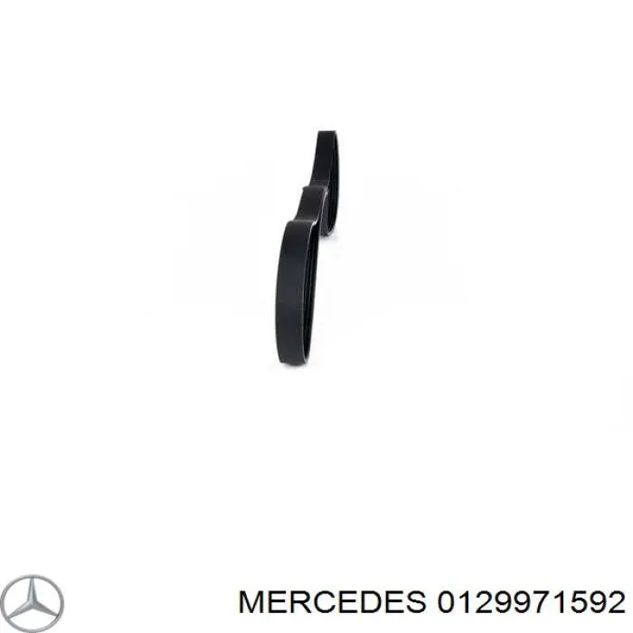Купить 0129971592 Mercedes Ремень генератора