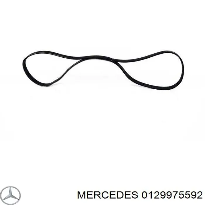 Клиновый ремень Mercedes 0129975592 цена, от 10.61 USD
