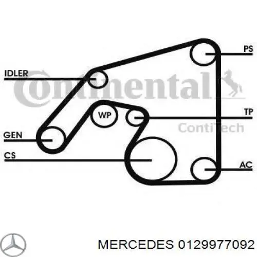 Correa trapezoidal 0129977092 Mercedes