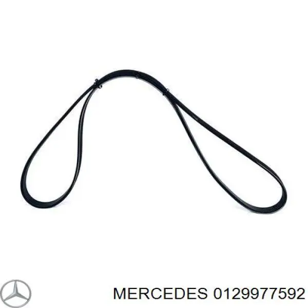 Клиновый ремень Mercedes 0129977592 цена, от 11.63 USD