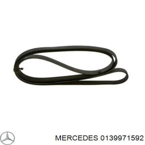 Клиновый ремень Mercedes 0139971592 цена, от 11.72 USD