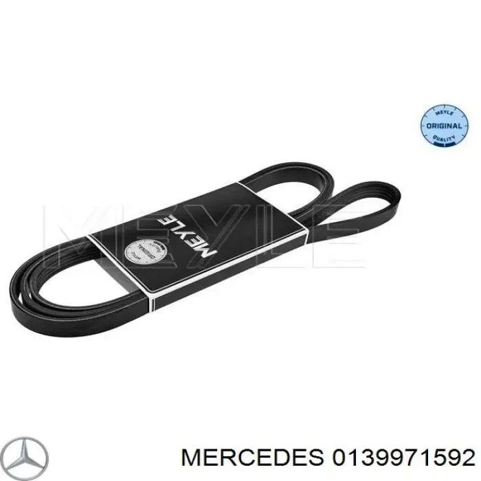 Купить 0139971592 Mercedes Ремень генератора