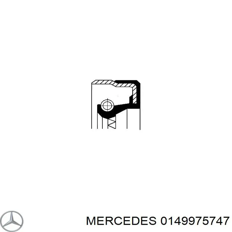 0149975747 Mercedes сальник редуктора заднего моста