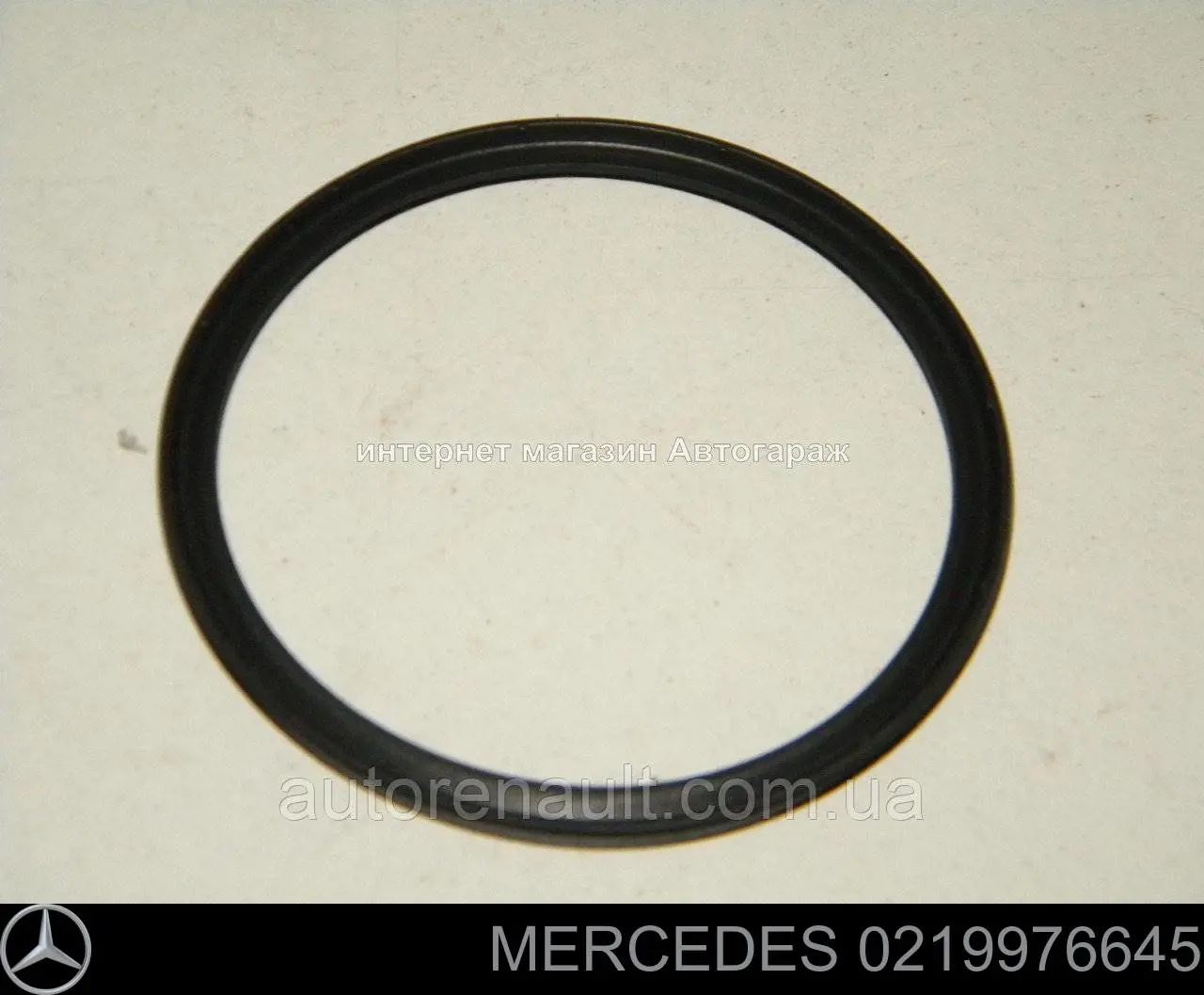 0219976645 Mercedes anel de vedação (vedante de cano derivado de intercooler)
