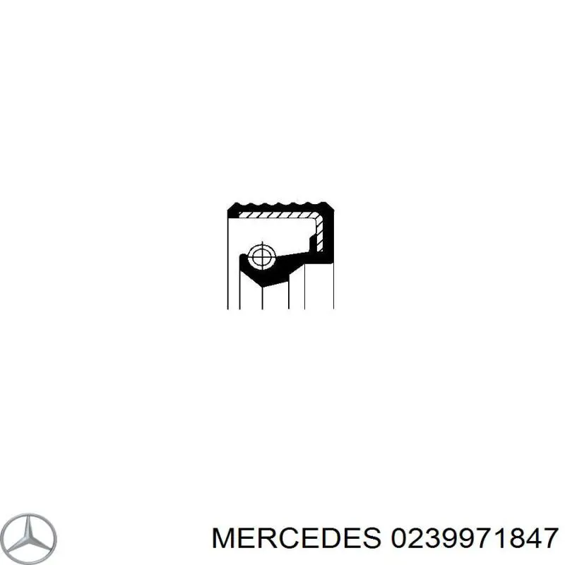  0239971847 Mercedes