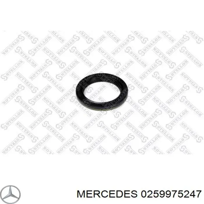 0259975247 Mercedes vedação da caixa automática de mudança (de árvore de saída/primária)