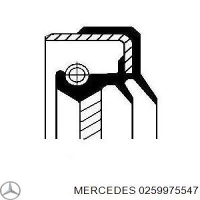 0259975547 Mercedes сальник хвостовика редуктора заднего моста