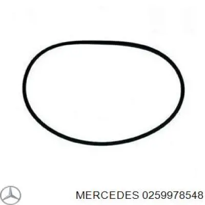 Кольцо уплотнительное под гильзу двигателя A0259978548 Mercedes