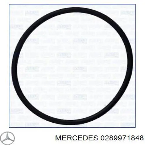  A0289971848 Mercedes