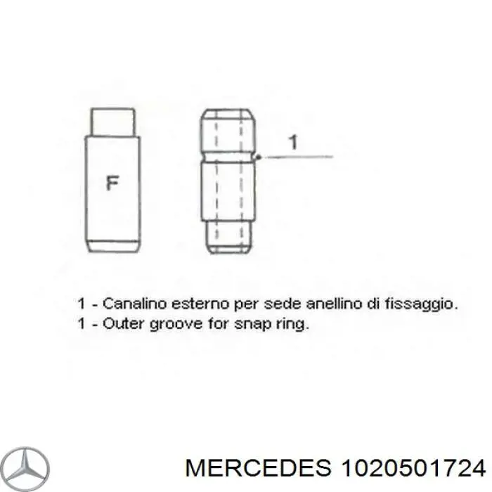 1020501724 Mercedes