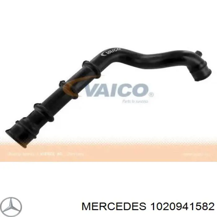  A1020941582 Mercedes