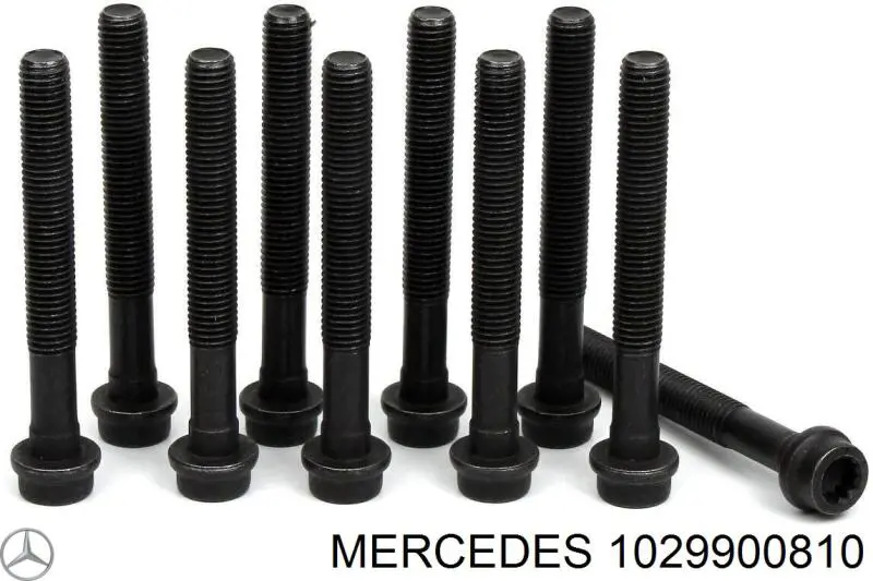 Болт головки блока цилиндров, ГБЦ Mercedes 1029900810 цена, от 1.83 USD