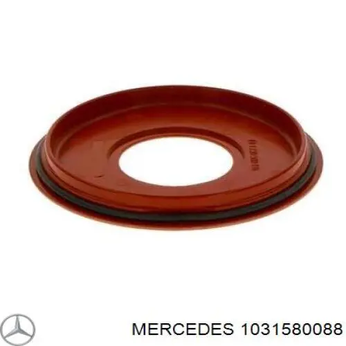  1031580088 Mercedes