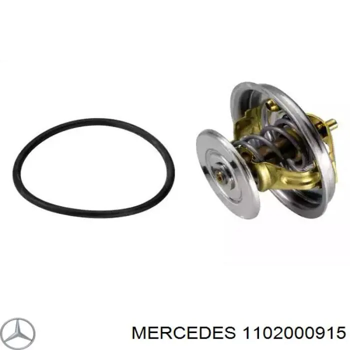 1102000915 Mercedes 
