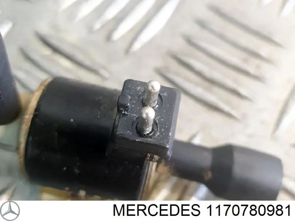 1170780981 Mercedes 