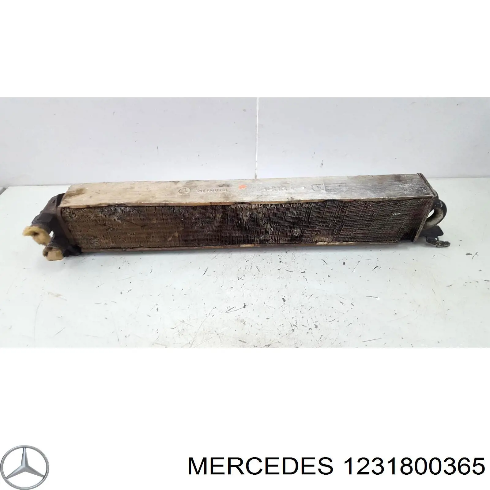  1231800365 Mercedes