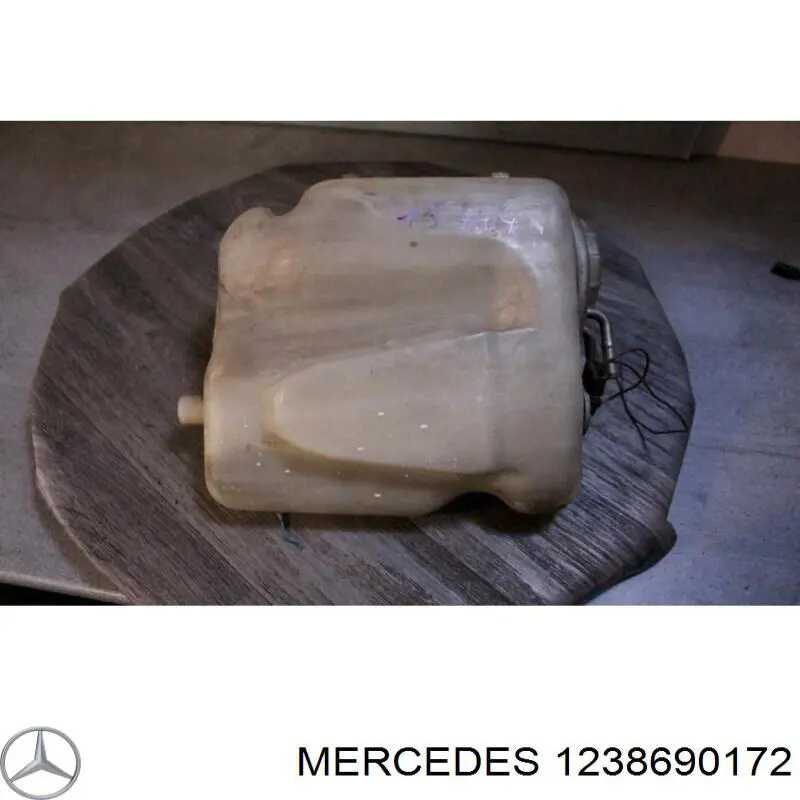 1238690172 Mercedes 