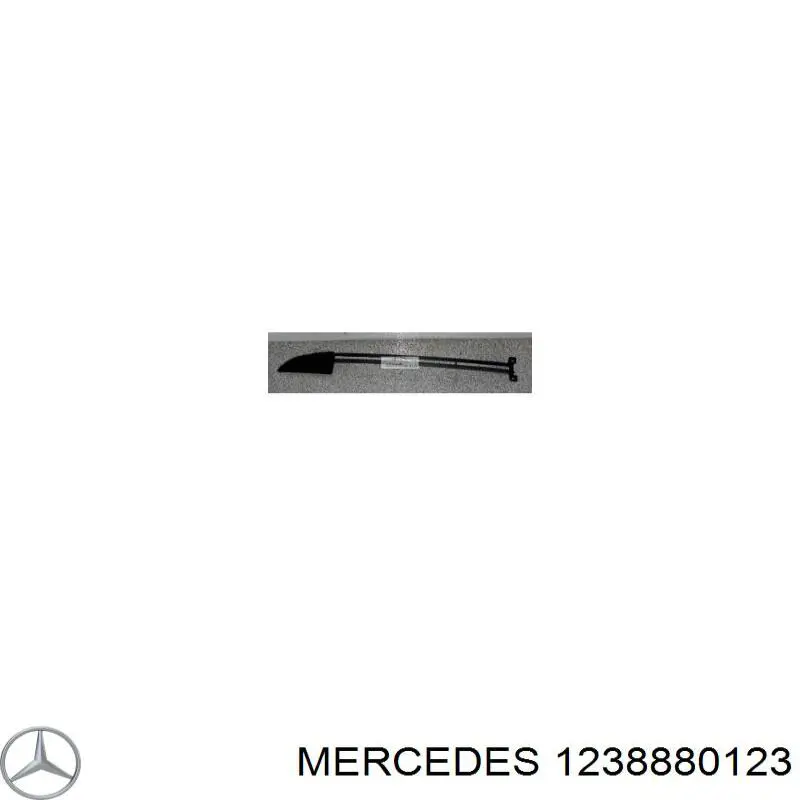 1238880123 Mercedes grelha esquerda do pára-choque dianteiro