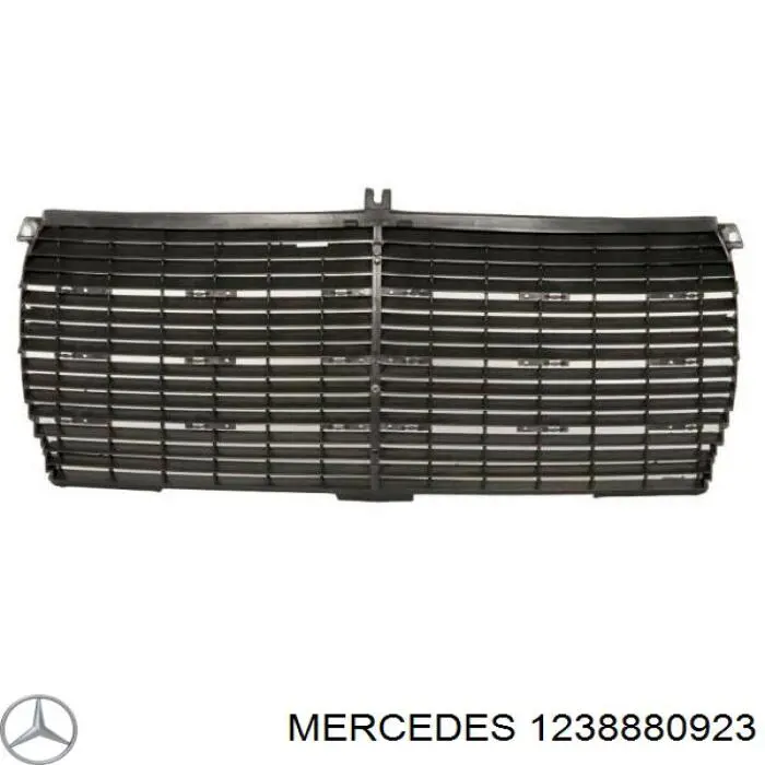 1238880923 Mercedes grelha do radiador