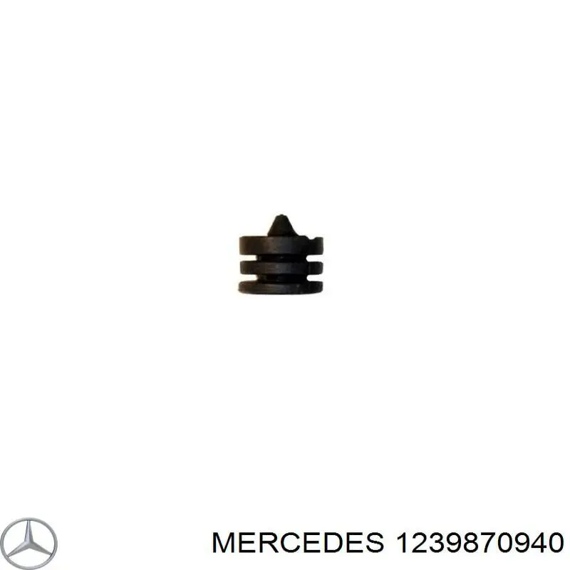1239870940 Mercedes