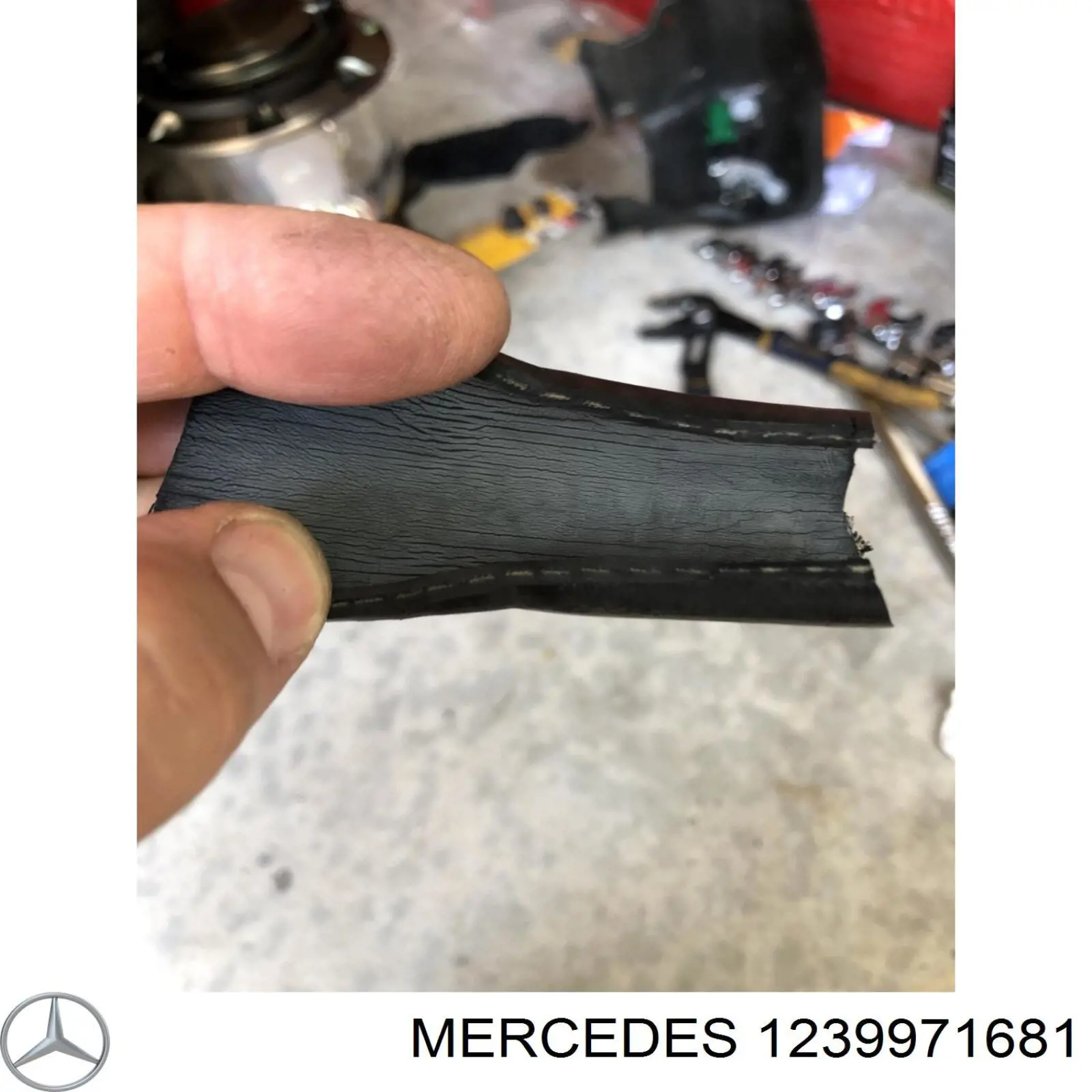 1239971681 Mercedes 