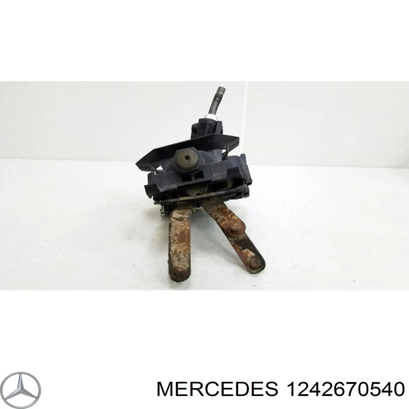  2022670161 Mercedes