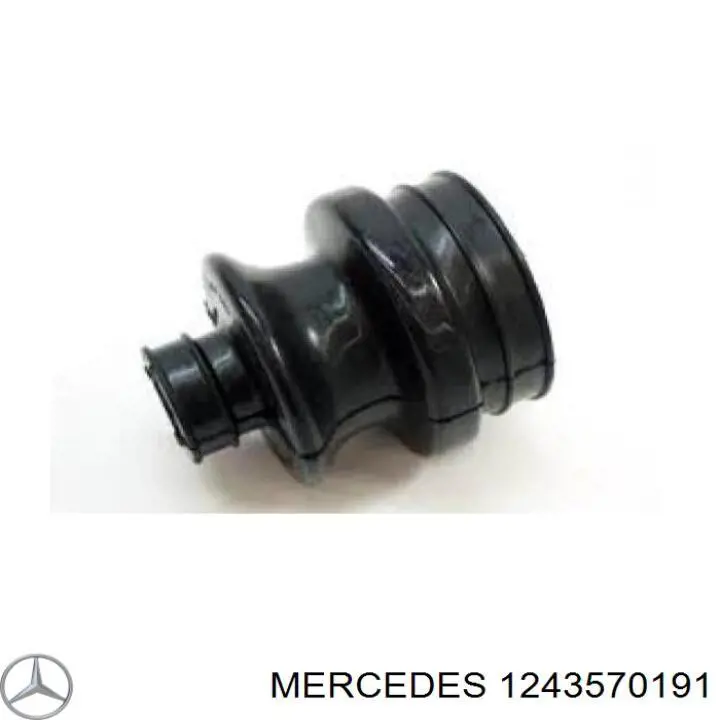  1243570191 Mercedes