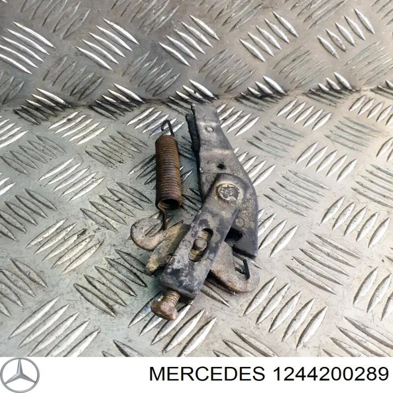 1244200289 Mercedes 