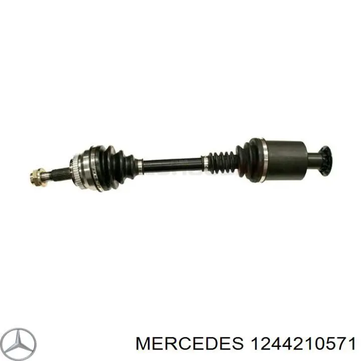  1244210571 Mercedes