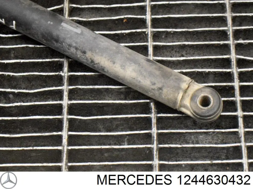 Амортизатор рулевого механизма (демпфер) Mercedes 1244630432