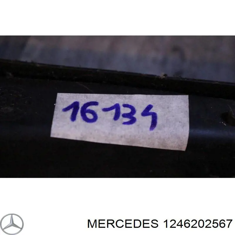 1246202567 Mercedes Водосток лобового стекла, жабо