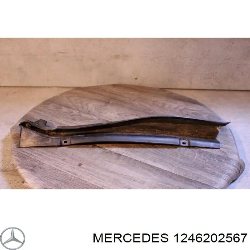 1246202567 Mercedes Водосток лобового стекла, жабо