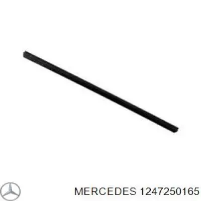  1247250165 Mercedes