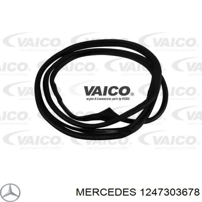 Уплотнитель двери передней левой (на двери) Mercedes 1247303678 цена, от 79.95 USD