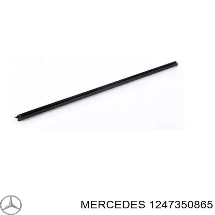  A1247350865 Mercedes