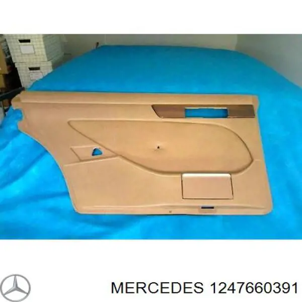 1247660391 Mercedes 