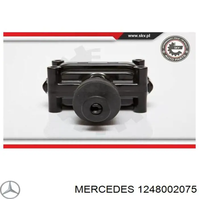  1248002075 Mercedes