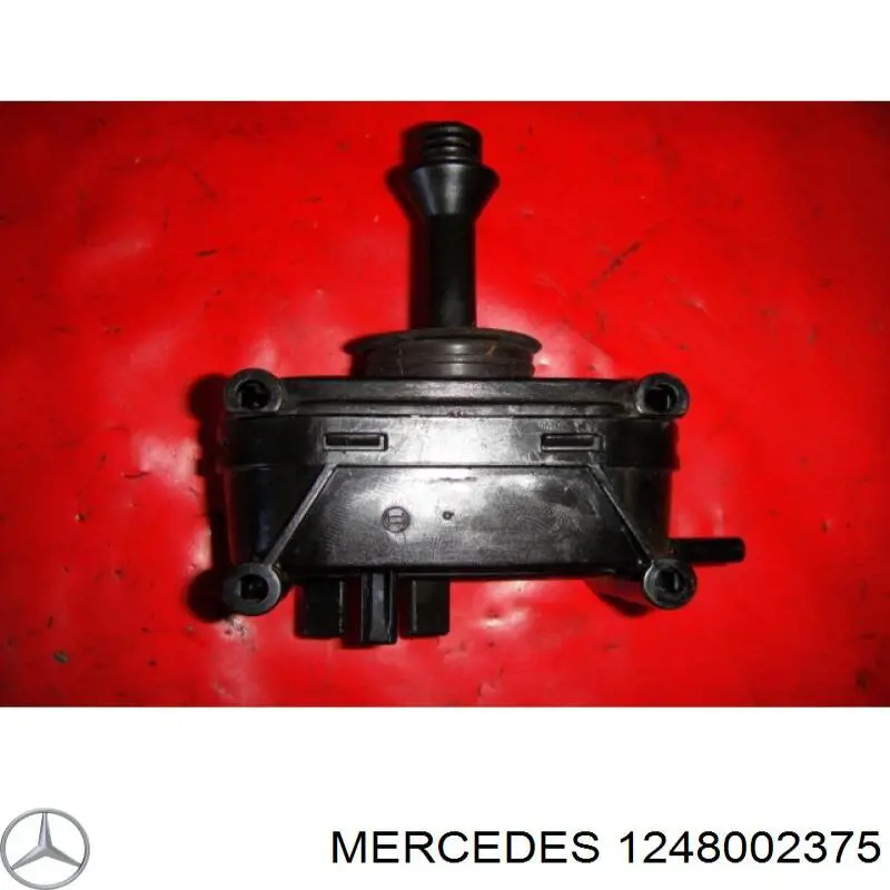  1248002375 Mercedes