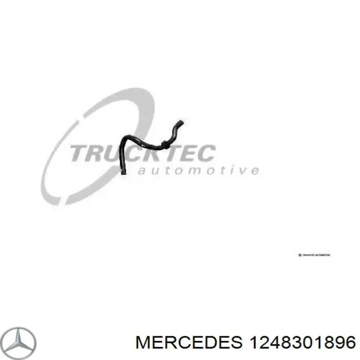  1248301896 Mercedes