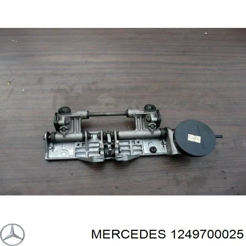  2029700025 Mercedes