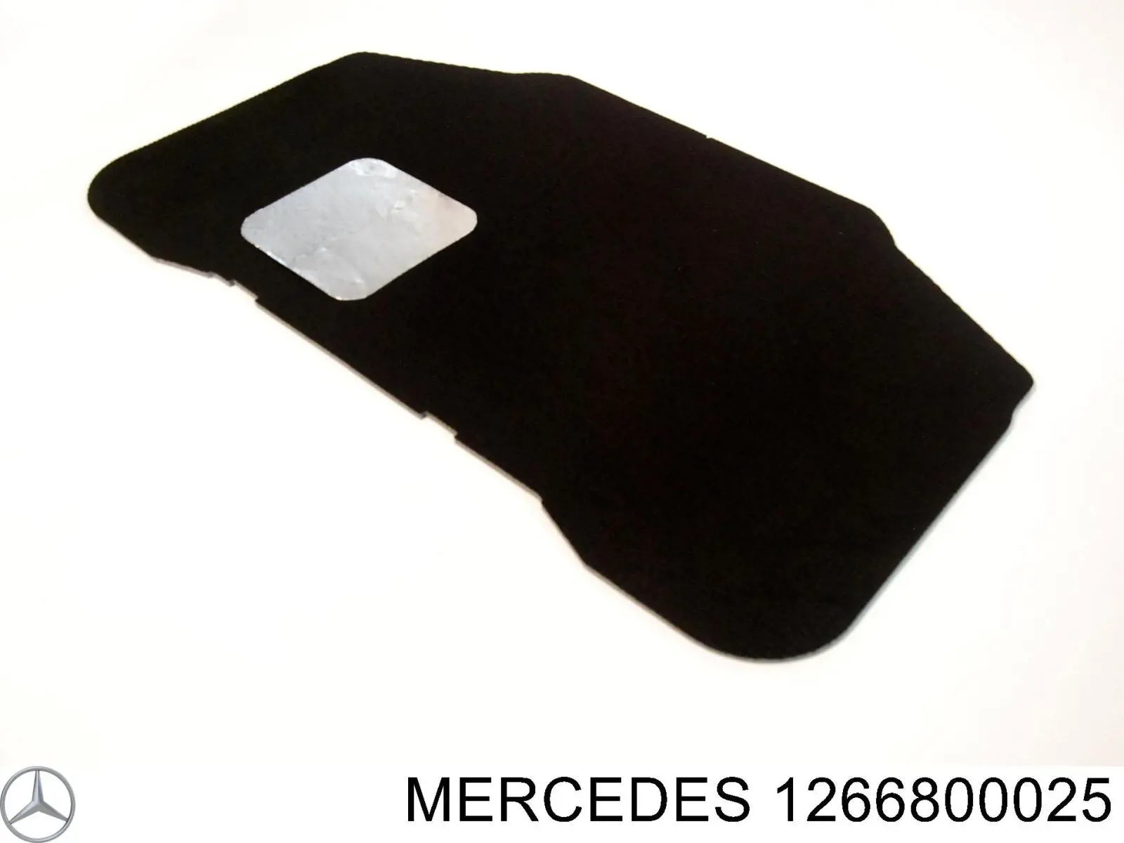  A1266800025 Mercedes