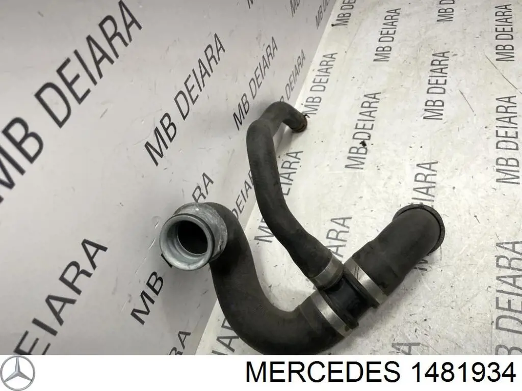  1481934 Mercedes